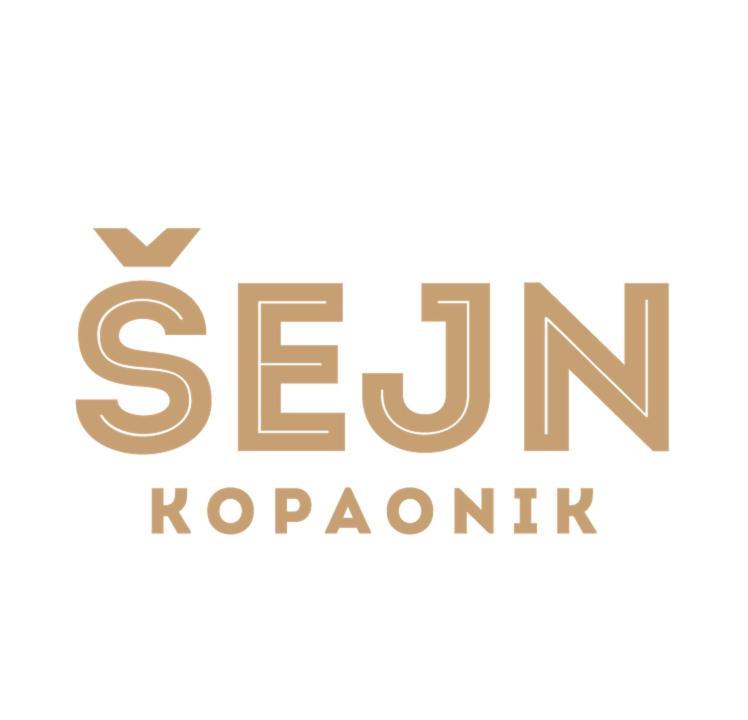 Guesthouse Sejn Κοπαόνικ Εξωτερικό φωτογραφία