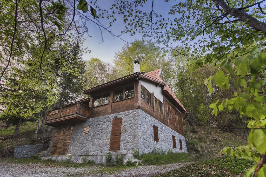 Guesthouse Sejn Κοπαόνικ Εξωτερικό φωτογραφία